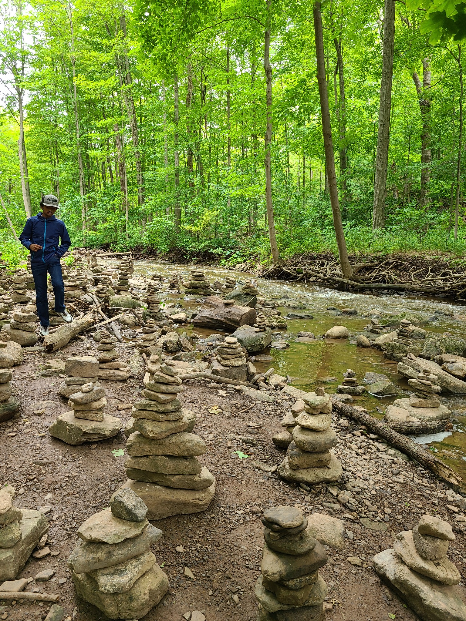 A child walking beside a creek lined with balanced stone stacks in a green forest.