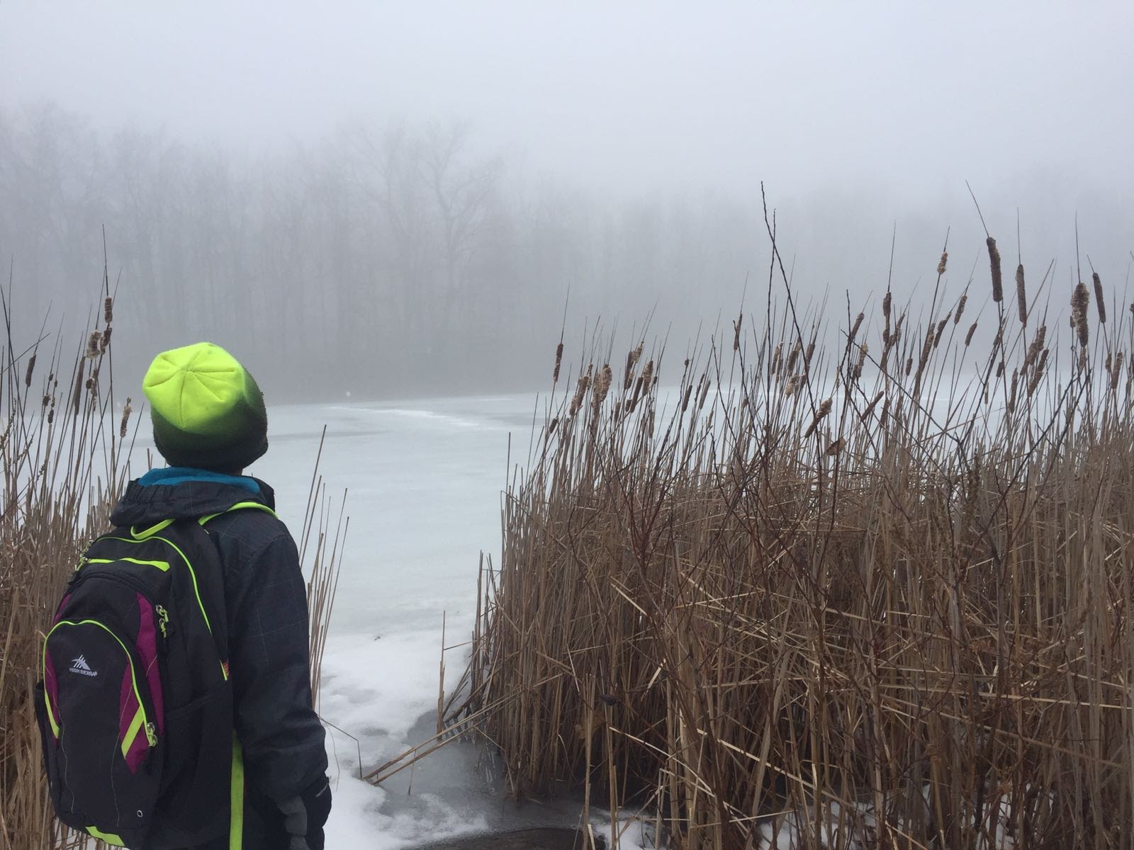 A child in a neon hat looking across a misty frozen pond bordered by cattails.